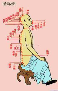 督脈循行路線 督脈循行路線
