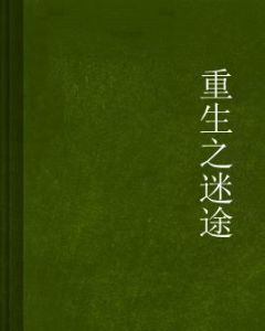 重生之迷途 重生之迷途