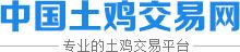中國土雞交易網 中國土雞交易網
