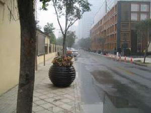 紫檀一期 紫檀一期