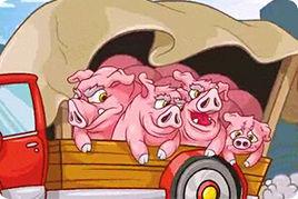 倒霉的粉紅豬 倒霉的粉紅豬