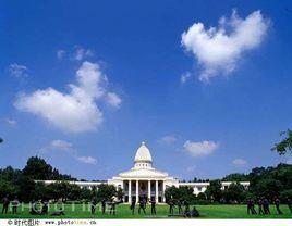 綠島森林公園 綠島森林公園