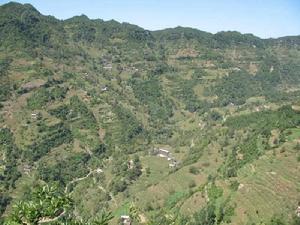 老姑自然村 老姑自然村