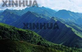 十萬大山山脈 十萬大山山脈