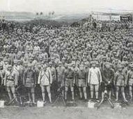 綠領章部隊 綠領章部隊