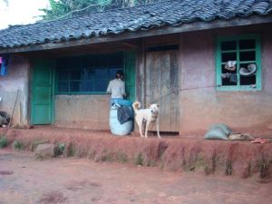 曼壟寨村 曼壟寨村