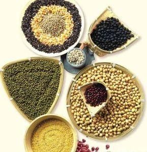 粗纖維食物 粗纖維食物