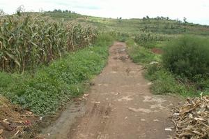 松林村[雲南省昆明安寧市連然鎮武家莊村委會松林村]