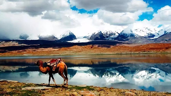 南疆是一種病,不去治不好;北疆是一種癮,去過戒不掉!