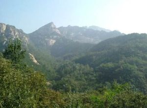 羅山國家森林公園