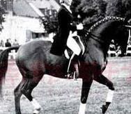 里瑟洛特·林森霍 里瑟洛特·林森霍