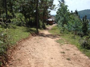 丫口子自然村 丫口子自然村