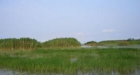 王沙島風景區 王沙島風景區
