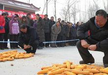 魯莊村[北京市延慶縣延慶鎮下轄村]