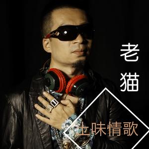 土味情歌 土味情歌