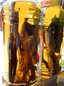 虎骨杜仲酒 虎骨杜仲酒