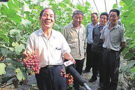 小龍乾技術 小龍乾技術