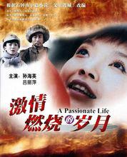 《激情燃燒的歲月》海報