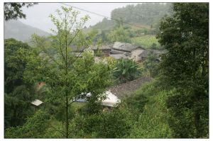 金星山村 金星山村