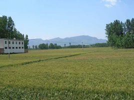 渡口村[河南省伊川縣下轄村]