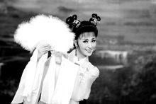 袁媛[黃梅戲演員七仙女影視明星]