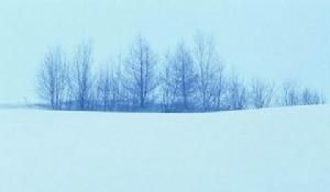 散射光照明 散射光照明