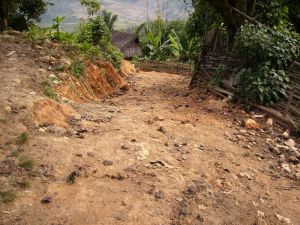 大彎山村 大彎山村