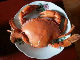 清蒸青蟹 清蒸青蟹