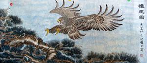 雄鷹圖2