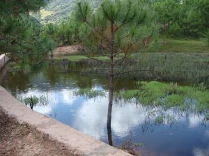 吾序吾村 吾序吾村