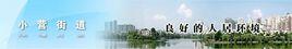 小營街道[浙江省杭州市上城區小營街道]