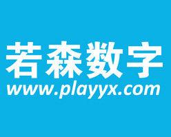 北京若森數字科技有限公司