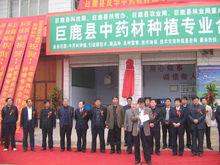 市縣領導出席揭牌儀式