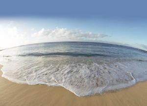 昌黎黃金海岸國家級自然保護區