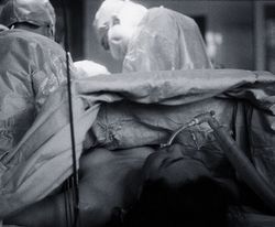 金星小姐 金星小姐