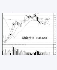 湖南投資 湖南投資