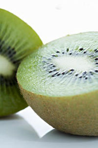 光莖獼猴桃 光莖獼猴桃