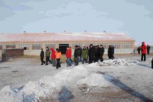 （圖）阿木古朗鎮養殖大畜的成功