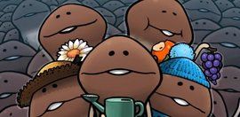 菇菇栽培 菇菇栽培