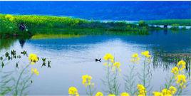 希爾寨生態農莊 希爾寨生態農莊