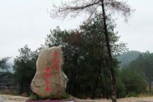 大坪林場 大坪林場