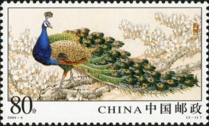2004-6 孔雀(T)