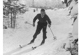 萊拉·蕭·尼爾森 萊拉·蕭·尼爾森