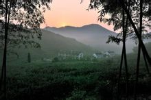 莫乾山法國山居