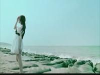 《看得最遠的地方》 《看得最遠的地方》