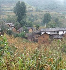 羊糞田村 羊糞田村