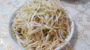 醋烹綠豆芽 醋烹綠豆芽