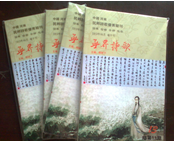 《無界詩歌》總第十三期