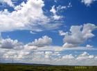 錫林郭勒大草原[草原]