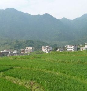 藤香林自然村 藤香林自然村